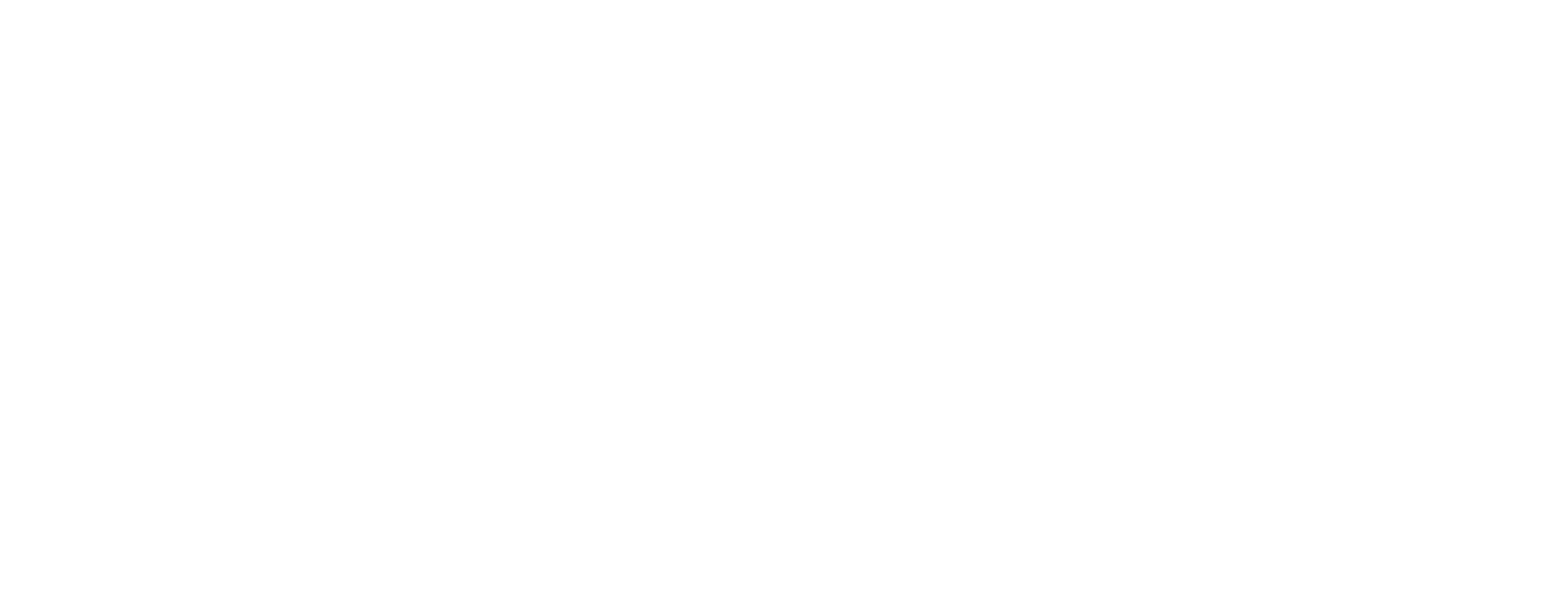 Logo branco do Núcleo de Estudantes de Informática do ISEP (NEI)